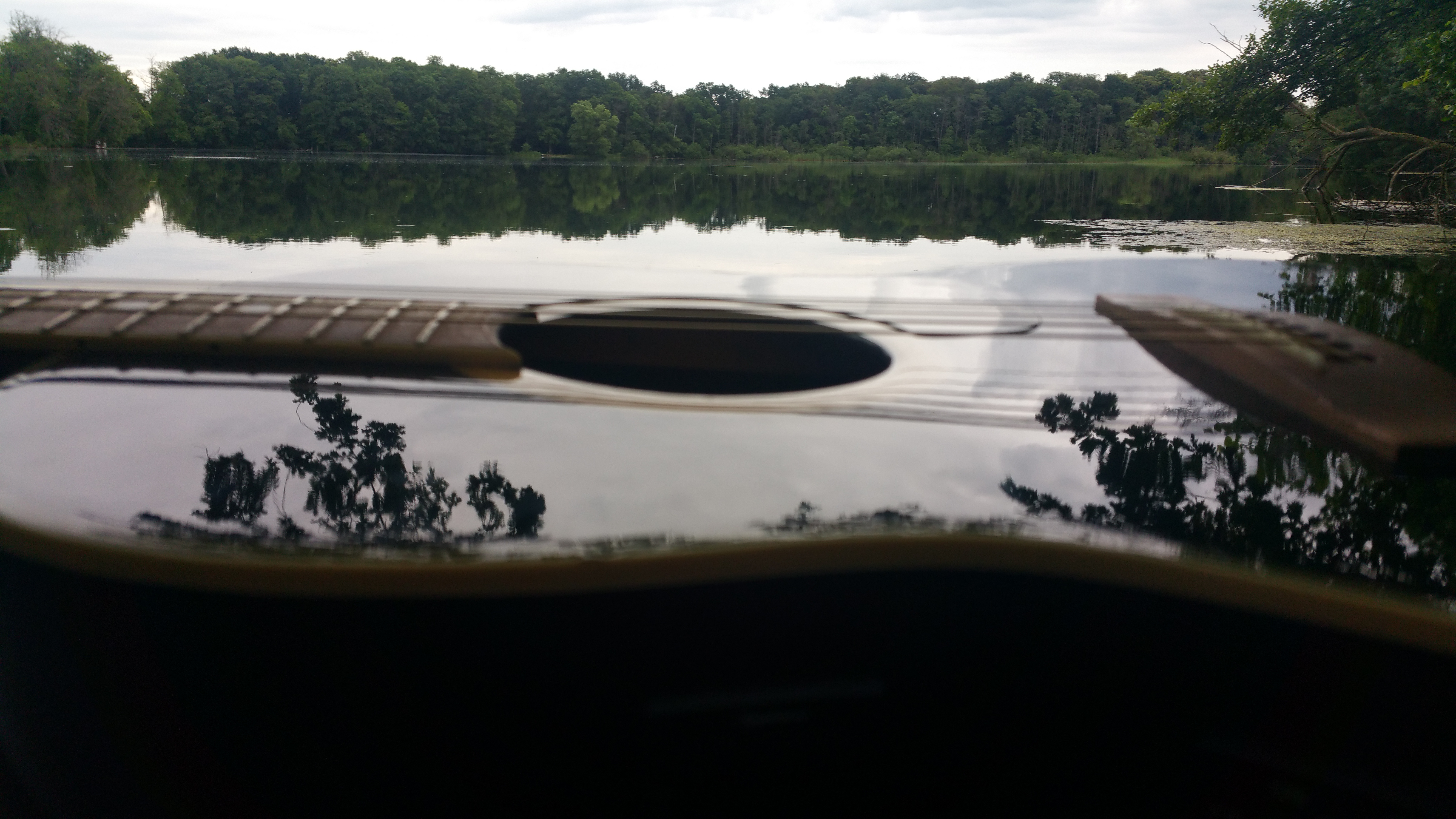Gitarre als Spiegel der Natur